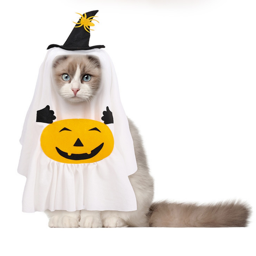 Halloween Ghost Pet Costume with Pumpkin Design and Mini Witch Hat